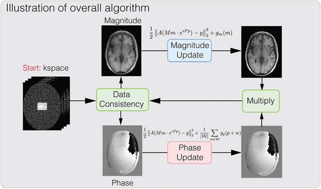 Figure 2 for General Phase Regularized Reconstruction using Phase Cycling