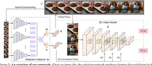 Figure 3 for 2D or not 2D? Adaptive 3D Convolution Selection for Efficient Video Recognition