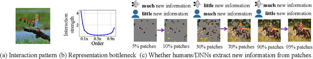 Figure 1 for Discovering and Explaining the Representation Bottleneck of DNNs