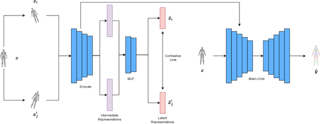 Figure 1 for Self-Supervised Contrastive Representation Learning for 3D Mesh Segmentation