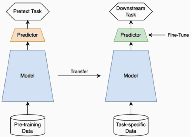 Figure 3 for Self-Supervised Approach to Addressing Zero-Shot Learning Problem