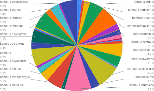 Figure 4 for Self-Supervised Approach to Addressing Zero-Shot Learning Problem