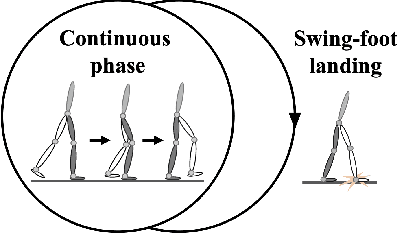 Figure 2 for Global-Position Tracking Control of 3-D Bipedal Walking via Virtual Constraint Design and Multiple Lyapunov Analysis