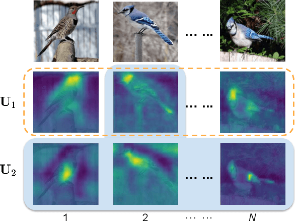 Figure 3 for Cross-X Learning for Fine-Grained Visual Categorization