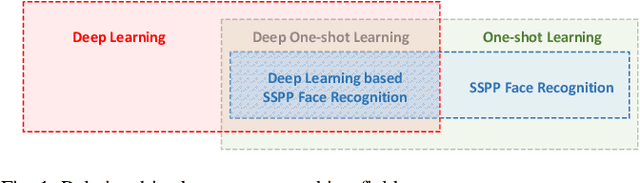 Figure 1 for Deep Learning Based Single Sample Per Person Face Recognition: A Survey