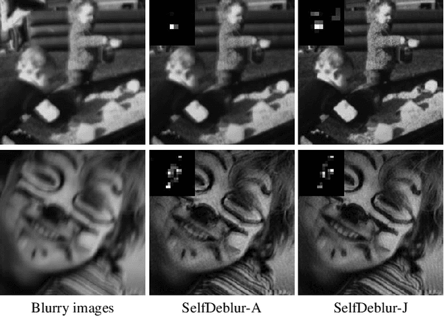 Figure 4 for Neural Blind Deconvolution Using Deep Priors