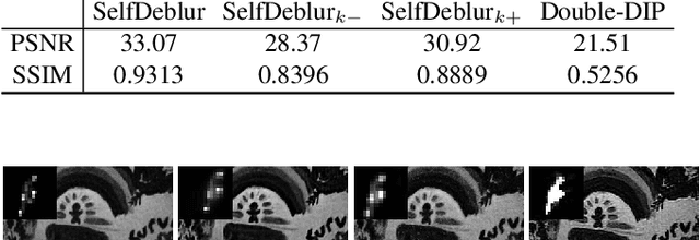 Figure 3 for Neural Blind Deconvolution Using Deep Priors