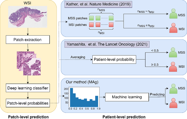 Figure 1 for MAg: a simple learning-based patient-level aggregation method for detecting microsatellite instability from whole-slide images