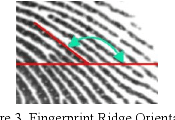 Figure 4 for A Fingerprint Detection Method by Fingerprint Ridge Orientation Check