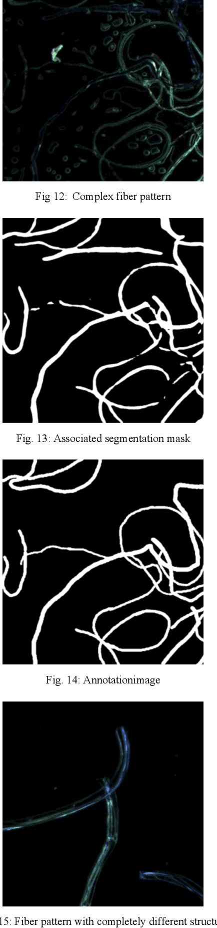 Figure 2 for Boosting Mask R-CNN Performance for Long, Thin Forensic Traces with Pre-Segmentation and IoU Region Merging