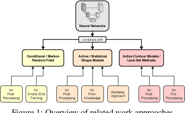 Figure 1 for A survey on shape-constraint deep learning for medical image segmentation