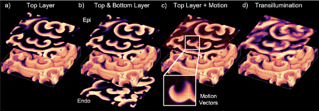 Figure 2 for Reconstruction of Three-dimensional Scroll Wave Chaos in Opaque and Transparent Excitable Media using Deep Neural Networks