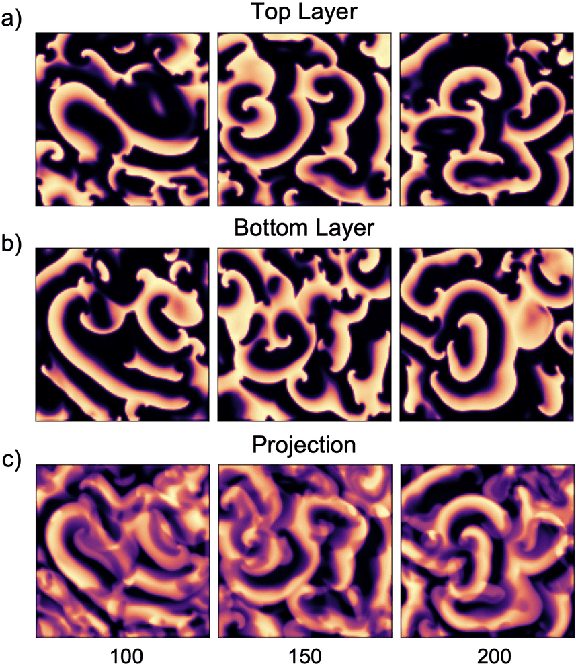 Figure 3 for Reconstruction of Three-dimensional Scroll Wave Chaos in Opaque and Transparent Excitable Media using Deep Neural Networks