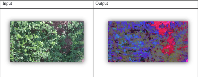Figure 1 for Quantification of groundnut leaf defects using image processing algorithms