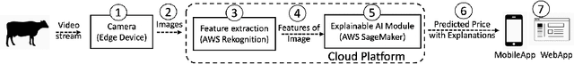 Figure 1 for Towards Designing Computer Vision-based Explainable-AI Solution: A Use Case of Livestock Mart Industry