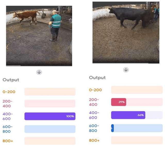 Figure 3 for Towards Designing Computer Vision-based Explainable-AI Solution: A Use Case of Livestock Mart Industry