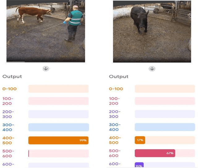 Figure 4 for Towards Designing Computer Vision-based Explainable-AI Solution: A Use Case of Livestock Mart Industry