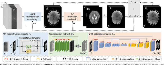 Figure 1 for CoRRECT: A Deep Unfolding Framework for Motion-Corrected Quantitative R2* Mapping