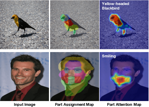 Figure 1 for Interpretable and Accurate Fine-grained Recognition via Region Grouping
