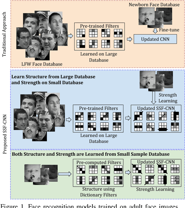 Figure 1 for Learning Structure and Strength of CNN Filters for Small Sample Size Training