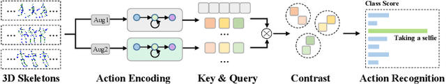 Figure 1 for Augmented Skeleton Based Contrastive Action Learning with Momentum LSTM for Unsupervised Action Recognition