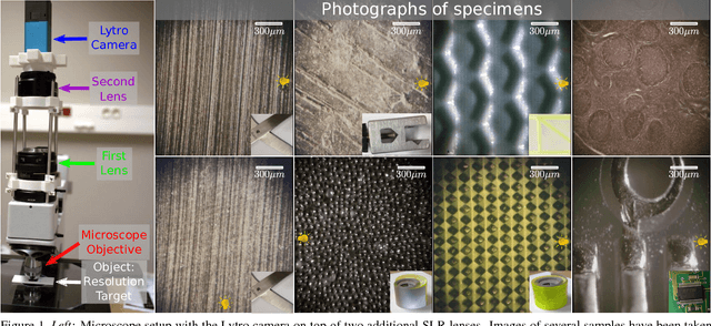 Figure 1 for Light-field Microscopy with a Consumer Light-field Camera