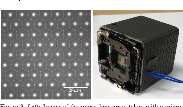 Figure 3 for Light-field Microscopy with a Consumer Light-field Camera