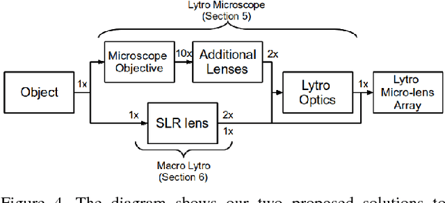 Figure 4 for Light-field Microscopy with a Consumer Light-field Camera