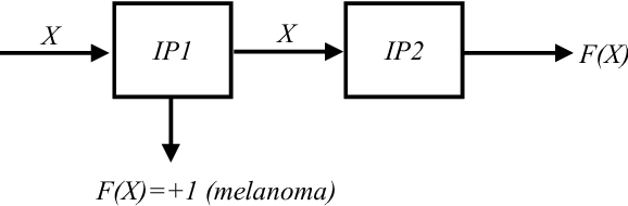 Figure 4 for SVM Classifier on Chip for Melanoma Detection