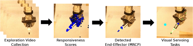 Figure 1 for Morphology-Agnostic Visual Robotic Control