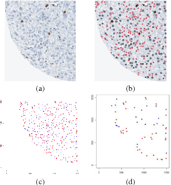 Figure 4 for Computational Pathology: Challenges and Promises for Tissue Analysis