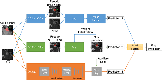 Figure 1 for Cross-Modality Domain Adaptation for Vestibular Schwannoma and Cochlea Segmentation