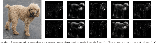 Figure 4 for An Optical Frontend for a Convolutional Neural Network