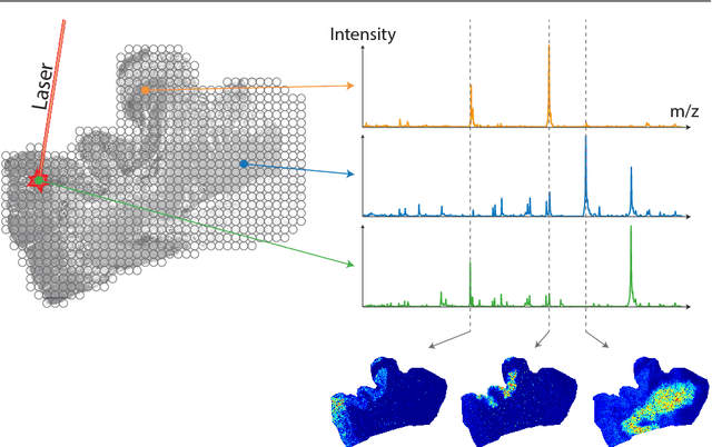 Figure 2 for A Survey on Surrogate Approaches to Non-negative Matrix Factorization