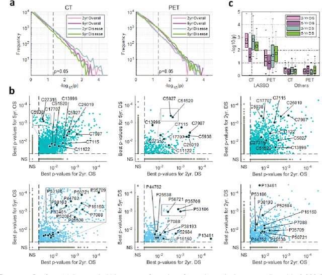 Figure 2 for What does AI see? Deep segmentation networks discover biomarkers for lung cancer survival