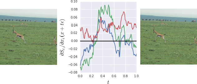 Figure 2 for SmoothGrad: removing noise by adding noise