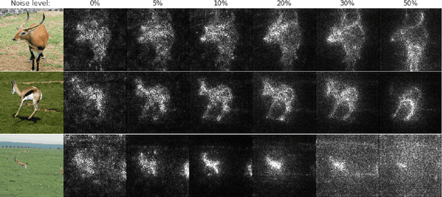 Figure 3 for SmoothGrad: removing noise by adding noise