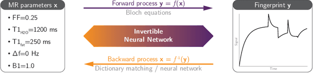 Figure 1 for Learning Bloch Simulations for MR Fingerprinting by Invertible Neural Networks