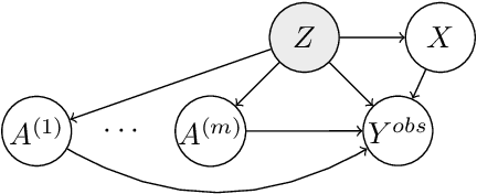 Figure 1 for Comment: Reflections on the Deconfounder