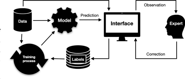 Figure 1 for RootPainter3D: Interactive-machine-learning enables rapid and accurate contouring for radiotherapy