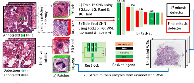 Figure 1 for Leveraging Unlabeled Whole-Slide-Images for Mitosis Detection