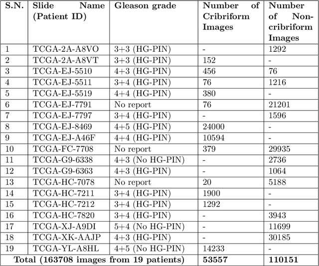 Figure 4 for Cribriform pattern detection in prostate histopathological images using deep learning models