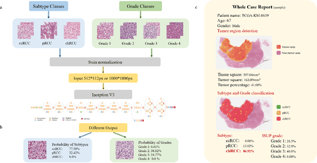 Figure 3 for A Precision Diagnostic Framework of Renal Cell Carcinoma on Whole-Slide Images using Deep Learning