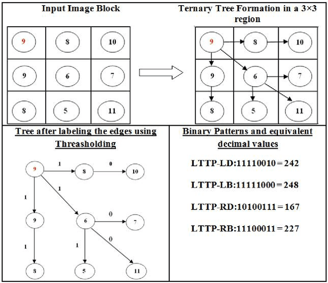 Figure 3 for Face Identification using Local Ternary Tree Pattern based Spatial Structural Components