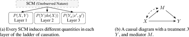 Figure 1 for Nested Counterfactual Identification from Arbitrary Surrogate Experiments