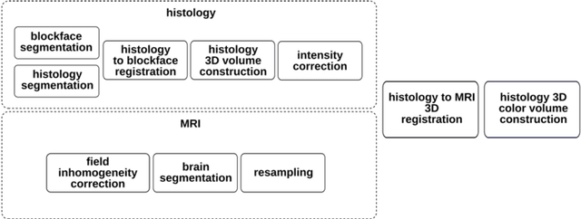 Figure 2 for Automating Whole Brain Histology to MRI Registration: Implementation of a Computational Pipeline
