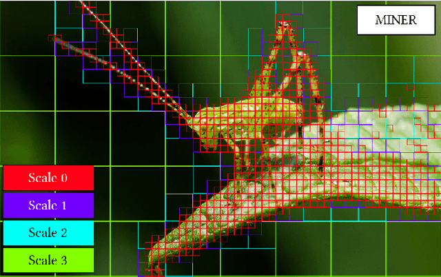 Figure 4 for MINER: Multiscale Implicit Neural Representations