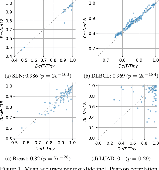 Figure 1 for A comparative study between vision transformers and CNNs in digital pathology