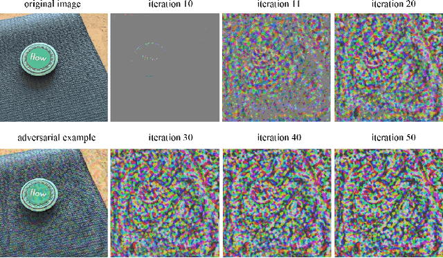 Figure 1 for Improving the Transferability of Adversarial Examples with New Iteration Framework and Input Dropout