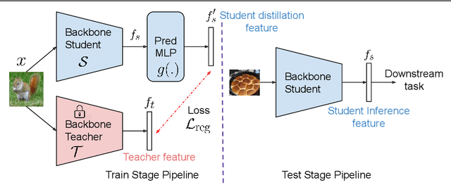 Figure 1 for SimReg: Regression as a Simple Yet Effective Tool for Self-supervised Knowledge Distillation